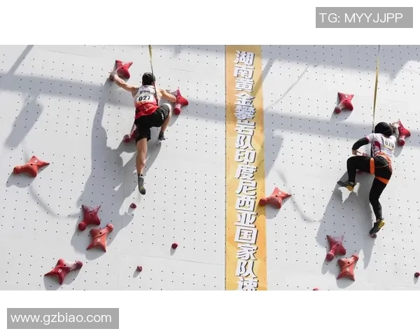 成都攀岩队战术表现数据分析揭示训练与比赛的关键因素 成都攀岩队战术表现数据分析揭示训练与比赛的关键因素